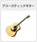 �A�R�[�X�e�B�b�N�M�^�[